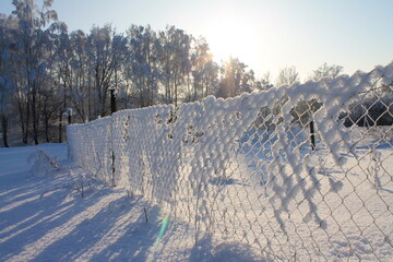 winter landscape in the forest, the sparkle of snow in the sun