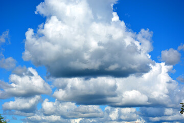 White clouds float across the blue sky at noon. Beautiful atmospheric phenomenon. Natural horizontal background.
