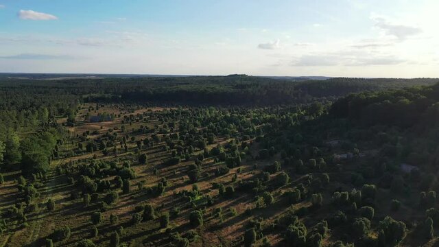 Drone flight over Lueneburg Heath ,in Germany
