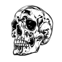 skull on black background