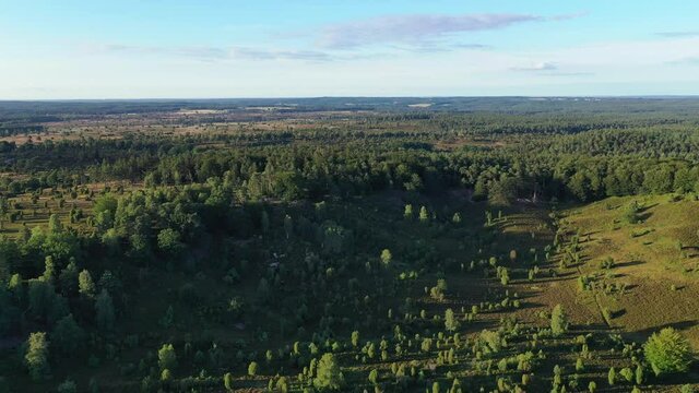 Drone flight over Lueneburg Heath , Germany