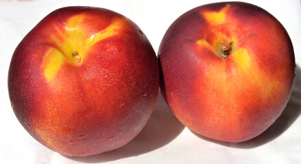 THE CLEMENTINE. HEALTHY AND JUICY SUMMER FRUIT FULL WITH VITAMINES. 