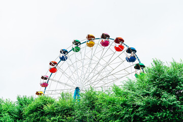 ferris wheel in the park
