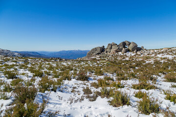 Winter landscape with snow