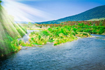 Naklejka premium Tongariro River on a sunny summer day