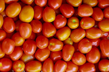 a lot of red tomatoes background