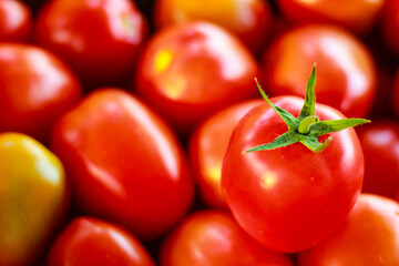 a lot of red tomatoes background