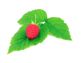 Red ripe raspberry with green leaves isolated on a white background. Healthy organic food. Harvest