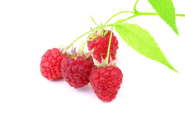 Red ripe raspberry with green leaves isolated on a white background. Healthy organic food. Harvest