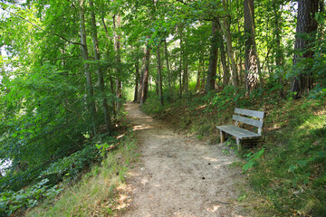 A wooden bench at Daeber lake in "Waldsieversdorf",  Brandenburg switzerland, Germany