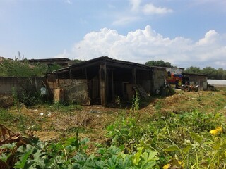 old abandoned house