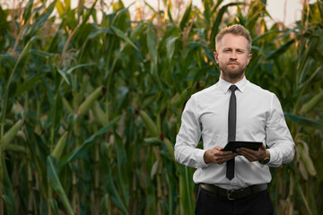 Handsome, stylish, blonde, businessman holding a black, new tablet and standing in the middle of green and yellow corn field.