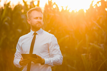 Adult, handsome, blonde, businessman holding a black, new tablet and standing in the middle of green and yellow corn field during sunrise.