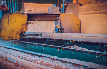Sawmill. Process of machining logs in sawmill machine saws the tree trunk