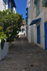 narrow streets of the city in the Andalusian style in white-blue colors