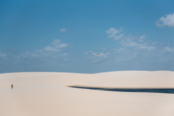 Lençois Maranhenses