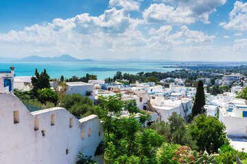 view of the sea bay and mountains from the city of Sidi-Bou-Said