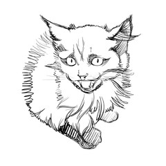 Vector Illustration of Adorable Cat. Sketched Little Cute Kitten. Monochrome Freehand Drawing. Kids Style Graphic. Stylized Cartoon Beautiful Kitty. Realistic Pen Drawing Imitation. Animal Art.