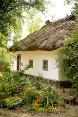 old house in the woods