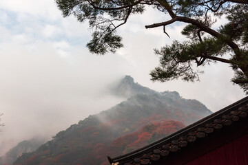 Fototapeta premium Majestic colorful autumn mountain with sea of clouds.