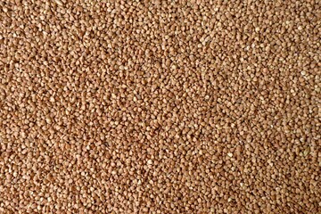 buckwheat texture filled photograph