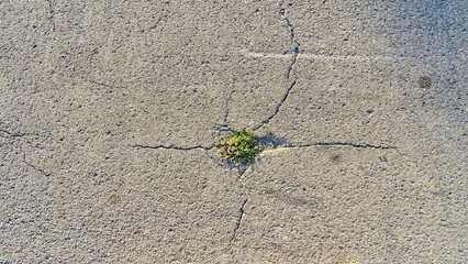 nature breakthrough