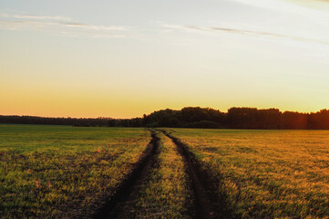 Fototapeta na wymiar sunset over the field