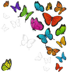 Fototapeta na wymiar Background with colorful butterflies vector illustration