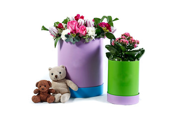 Festive flowers in round multicolored boxes on a white background