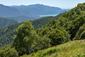Fototapeta na wymiar View to lake of Lugano from mount Tamaro on the Swiss alps