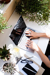 Woman's hands on laptop keyboard, cozy workplace
