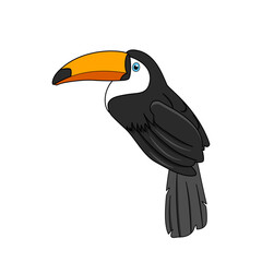 Toco toucan bird vector design, tropical bird.