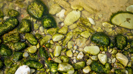 beautiful Baltic coastline