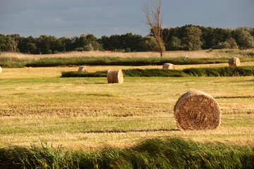 Dark clouds over a sheaf of hay in the meadow.