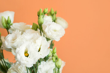 Beautiful eustoma flowers bouquet on orange