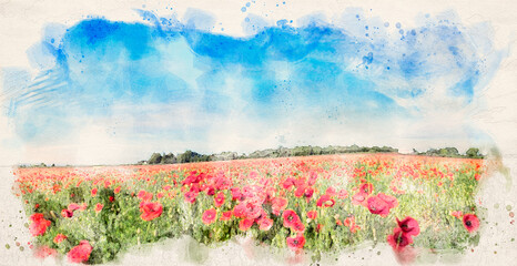 Poppy field landscape watercolor image