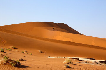 Fototapeta na wymiar The sand dunes of the Namib-Naukluft Park, Namibia, Africa