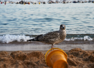 Verano en la localidad catalana de LLafranc, en la Costa Brava de España.