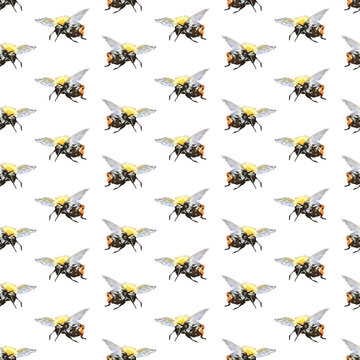Watercolor  bees trendy endless background. Cute summer watercolor seamless pattern and scrapbook digital paper.