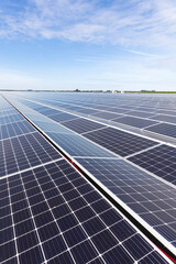 Solar photovoltaic modules installed in a power generation plant