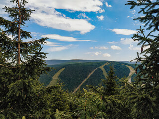 landscape with trees