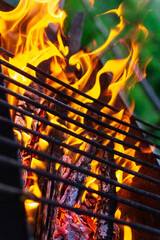 fire on the grill for cooking. vertical photo