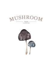 Psilocybin Set of mushrooms on white background Hand drawn watercolor realistic illustration