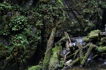 Waterfall in the Altai mountains