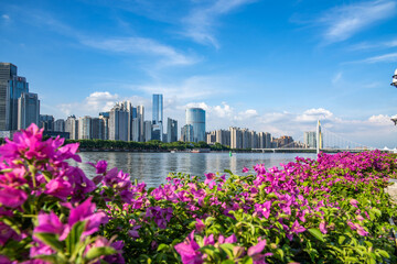 Guangzhou City Scenery, China