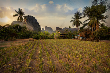 Unseen Thailand, Ban Mung at Noen maprang Phitsanulok Thailand