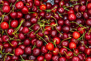 Sweet cherry. Antioxidant, natural, vitamin, organic berry sale of berries and fruits