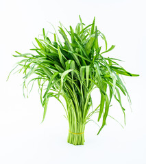 Handful of fresh convolvulus on white background