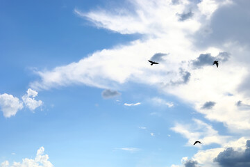 blue sky with clouds closeup