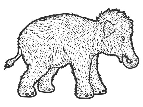 Woolly mammoth child. Sketch scratch board imitation.